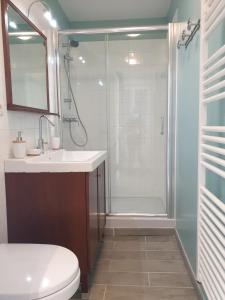 サン・バレリ・アン・コーにあるVilla Arianeのバスルーム(シャワー、洗面台、トイレ付)