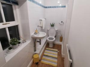 a small bathroom with a toilet and a sink at Lancaster 1 bed Cottage Apartment- M6 - Lancs Uni in Lancaster