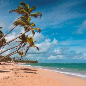 een strand met twee palmbomen en de oceaan bij Exclusive Villa * private Beach and Housekeeping in Punta Cana