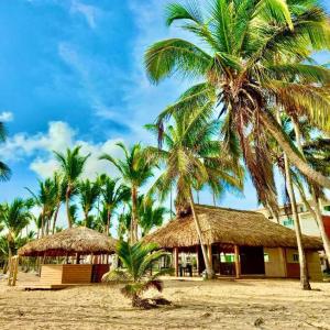 un grupo de palmeras y un edificio en una playa en Exclusive Villa * private Beach and Housekeeping, en Punta Cana