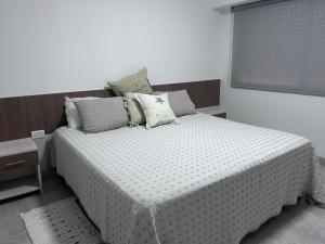 um quarto com uma cama com almofadas e uma janela em Apart Luro IV em Santa Rosa