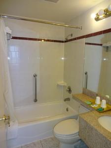 a bathroom with a tub and a toilet and a sink at Flushing Hotel in Queens