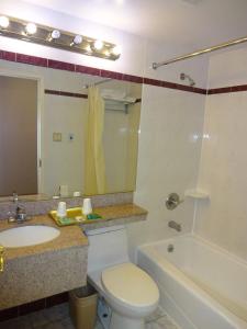 a bathroom with a toilet and a sink and a tub at Flushing Hotel in Queens +21 photos