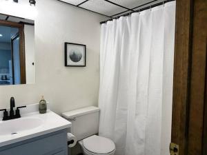 y baño con cortina de ducha blanca y aseo. en Capital Suite on 6th Street - King Bed / Downtown!, en Springfield