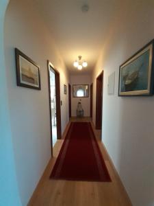 un pasillo con una alfombra roja en una casa en Apartment Nadine Mljet, en Okuklje