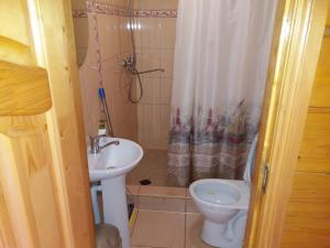 y baño con lavabo, aseo y ducha. en Зачаровані Карпати, Воловець, en Volovets