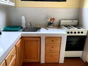 a kitchen counter with a sink and a stove at Villas JABEL TINAMIT in Panajachel