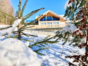 a house in the snow with a tree at Alpen Luxury Lodge, MARIAZELL - Adults only in Mariazell