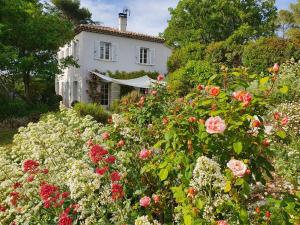 un giardino di fiori di fronte a una casa bianca di Lou Pantai, Bed and breakfast, Double Bedroom ad Aix en Provence