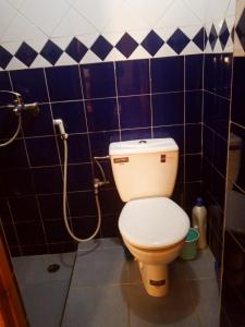 a bathroom with a toilet and a shower at Sweaty house in Essaouira