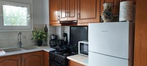 Kuchyň nebo kuchyňský kout v ubytování Like your home