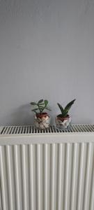 Fotografie z fotogalerie ubytování Like your home v destinaci Komotiní