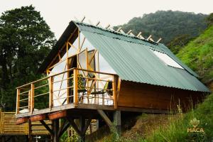 a house on a wooden structure with a green roof at MACA GLAMPING in Calima