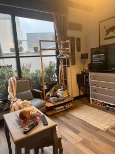 ein Wohnzimmer mit einem Couchtisch und einem TV in der Unterkunft Joli studio avec terrasse in Roubaix