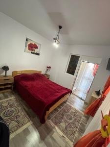 Gallery image of Pensiunea Alexia in Petroşani