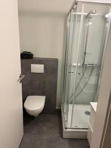 a bathroom with a toilet and a glass shower at Skógar Lodge in Hvolsvöllur