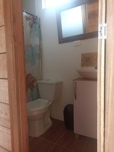 a bathroom with a toilet and a sink at Hotel Rancho El Vergel in Montenegro