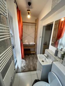 a small bathroom with a toilet and a sink at Pensiunea Alexia in Petroşani