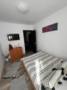ein Schlafzimmer mit einem Bett und einem TV an der Wand in der Unterkunft Pensiunea Alexia in Petroşani