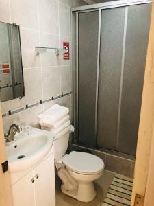 W łazience znajduje się toaleta, umywalka i prysznic. w obiekcie Hostal Collins House w mieście Temuco