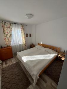 ein Schlafzimmer mit einem großen Bett und einem Fenster in der Unterkunft Pensiunea Alexia in Petroşani