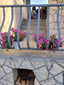 Srb的住宿－Apartman Lički san，栏杆上带两盆花的门廊
