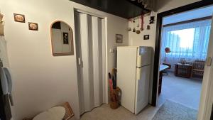 プラハにあるVintage Apartmentのキッチン(白い冷蔵庫付)、廊下