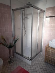 a shower with a glass door in a bathroom at Kurpension Parkfrieden in Bad Pyrmont