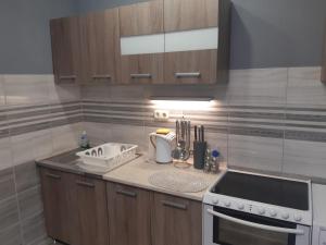 Kuchyňa alebo kuchynka v ubytovaní Bajnok Apartman