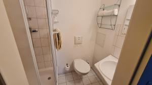 Rathaushotel في آيبنشتوك: حمام صغير مع مرحاض ومغسلة
