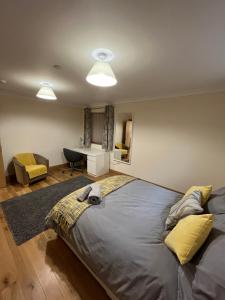een slaapkamer met een groot bed met een hond erop bij New city flat, 3 x double bed en-suite bedrooms, private kitchen & lounge, free private parking & own workspaces in Exeter