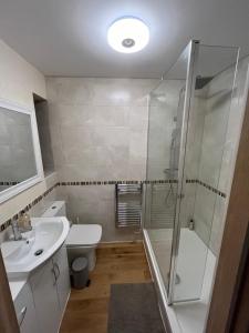 uma casa de banho com um chuveiro, um WC e um lavatório. em New city flat, 3 x double bed en-suite bedrooms, private kitchen & lounge, free private parking & own workspaces em Exeter