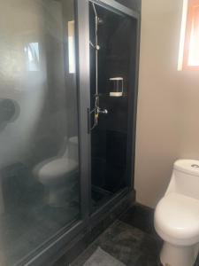 een badkamer met een toilet en een glazen douche bij Alto de Tenten in Castro
