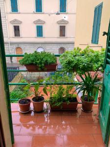 um grupo de vasos de plantas sentados numa varanda em Appartamento Meri, Montecatini Terme em Montecatini Terme