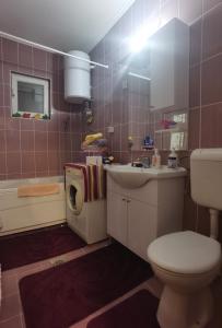 a bathroom with a toilet sink and a washing machine at APARTMAN ČAROLIJA TREBINJE in Trebinje