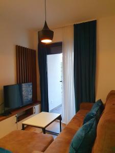 a living room with a couch and a tv at Apartman Felicita 2 in Zlatibor