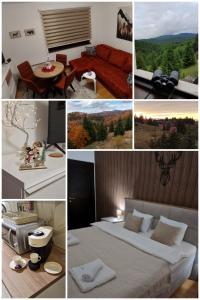 Fotografie z fotogalerie ubytování Glečer Kop A11 FREE Parking Garage v destinaci Kopaonik