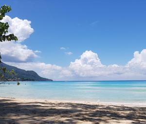 a view of a beach with the ocean at Alpha & Omega Apartment Seychelles in Beau Vallon