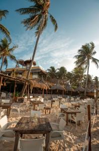 a beach with tables and chairs and palm trees at Hotel Colibri Beach in Playa del Carmen