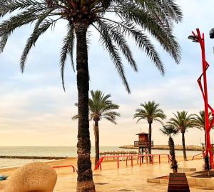 a beach with palm trees and a playground at App Coral con AA y Wi-Fi en Vinaròs cerca del mar in Vinaròs