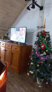 a christmas tree in a living room with a tv at Cabana praia dos passarinhos in Viamão