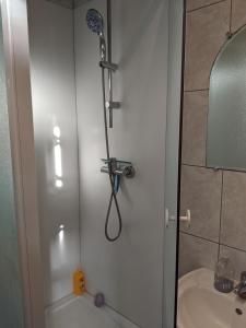 uma casa de banho com um chuveiro e um lavatório. em Close to Liège Guillemens em Liège