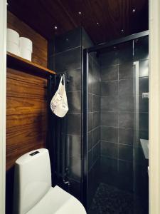 a bathroom with a white toilet and a shower at Turku Downtown Cozy Flat with balcony 45m2 in Turku