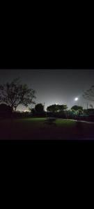 a night view of a park with a tree and a street light at Sun n moon farm in Noida