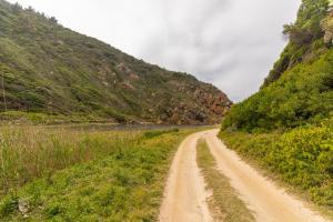 a dirt road in a field with a mountain at Ballots Bay Treehouse by Host Agents in George