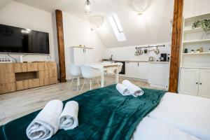 Televízia a/alebo spoločenská miestnosť v ubytovaní Apartament Uleczka by Rentoom