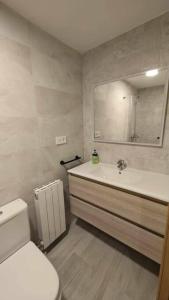 エスカリリャにあるMimosa 4 con terraza - tucasaenlospirineosの洗面台、トイレ、鏡のあるバスルーム