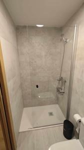 エスカリリャにあるMimosa 4 con terraza - tucasaenlospirineosのシャワーとトイレ付きのバスルーム +20枚の写真