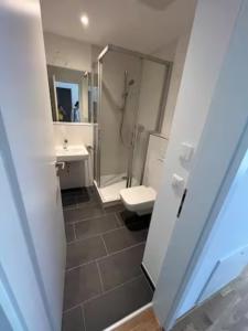 a bathroom with a shower and a toilet and a sink at New Business Apartment Nr.21 in Dresden +21 photos