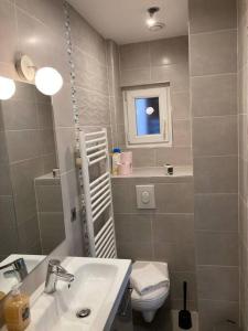 La salle de bains est pourvue d'un lavabo, de toilettes et d'un miroir. dans l'établissement Cosy F2 Schiltigheim Wacken, à Schiltigheim